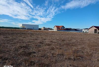 Teren de 817 mp, în Agigea - 4