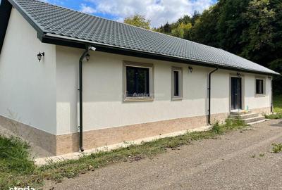 Casă cu 4 camere cu Teren 8000 Mp în Câmpuri - 7