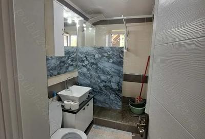 Apartament cu 3 camere la etajul 1 plus anexe, complet mobilat , nou - 2