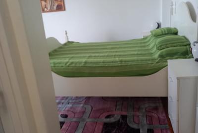 Apartament cu 2 camere decomandat, mobilat în Tineretului - 14