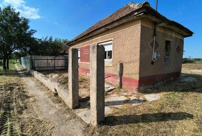 Casă cu 2 camere cu Teren 2930 Mp în Poclușa de Barcău - 4