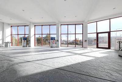 Sediu Firma - Showroom - 15