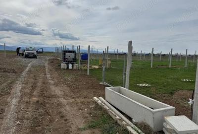 Spațiu comercial, în Șelimbăr - 4