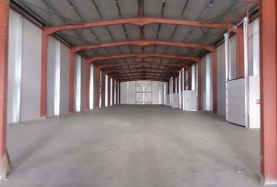 Zona Drumul Intre Tarlale - hala 1125 mp din care 200 mp birouri - 1