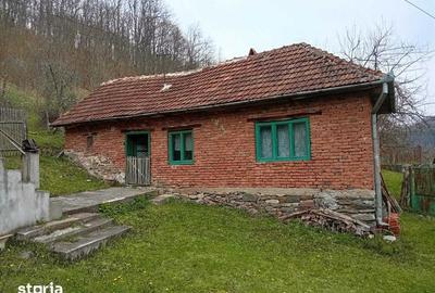 Casă cu 4 camere cu Teren 3990 Mp în Densuș - 7