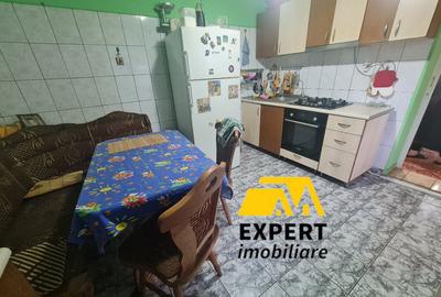 Casa Brailita sup 577 mp ,mobilata complet - 6