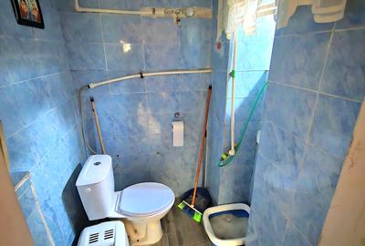 Apartament cu 1 cameră, zona Bălcescu, spațios, cu grădină - 7