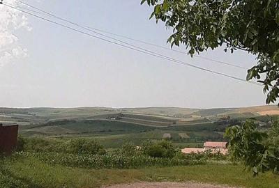 Spațiu comercial, în Central - 2