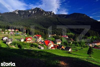 Spațiu comercial, de 500 mp, în Bucium - 10