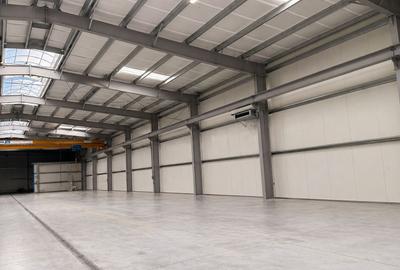 Spațiu industrial, de 1,558 mp, în Săcădat - 6