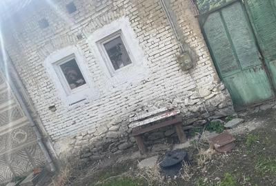 Casă cu 2 camere în Borlova - 3