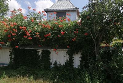 Casă în Dealu Morii - 1