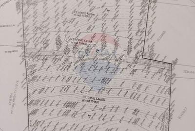 Teren de 5546 mp, în Central