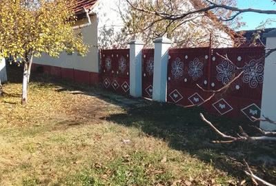 Casa de vanzare la 50km de Timisoara - 2