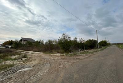 Darvari Ciorogarla Str Tineretului 2 loturi 500 mp zona in dezvoltare - 11