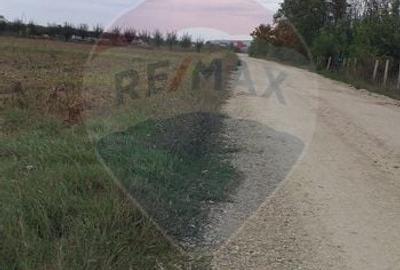 Teren 3,000mp Santion / Strada Principala
