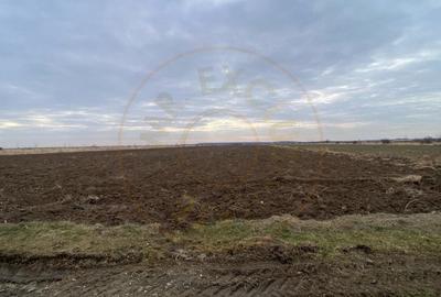 Teren intravilan 8.973 mp Loc. Albota -RESTAURANT LUXOR Arges - 3