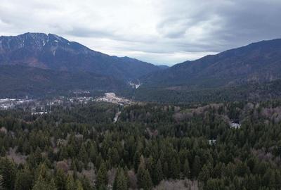 Teren intravilan 3.500 mp Cioplea - Predeal - 5