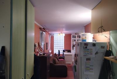 Casa cu 5 dormitoare, 170 mp utili, 500 mp teren, Podu de Fier - 16