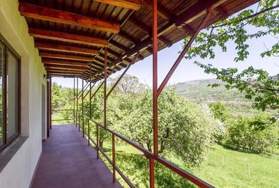 Vila deosebita cu 7 camere si 5 bai, 4290 mp teren, vedere panoramica  Valea Do - 16