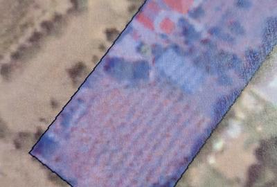 Teren în Sinești - 2