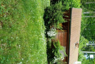 Casă cu 2 camere în Central - 9