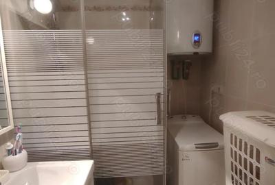 Garsoniera confort lux - Municipiul Brad, Hunedoara - 2