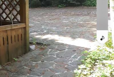 Casă cu 5 camere în Poiana Țapului - 2