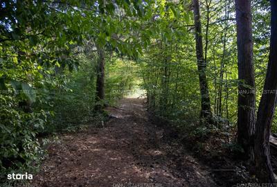 Spațiu comercial, în Vulcan - 10