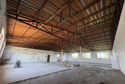 Complex industrial *hala 682 mp + teren 2,5 ha* - Tetila - 3