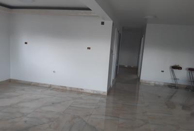 Spatiu comercial la Corni - 10