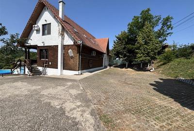 Casă cu 10 camere cu Piscina în Paleu - 5