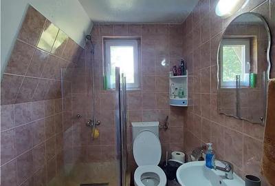 OPORTUNITATE!!! Casa la munte, zona Remeti, drumul Apusenilor! 2 case disponibile!!! - 10
