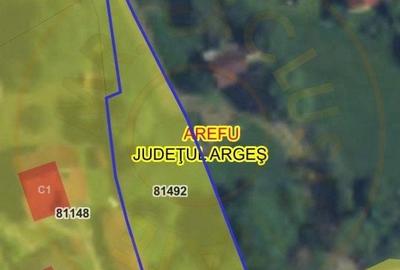 Teren 4996 mp zona de munte Comuna Arefu-Capataneni Arges - 3