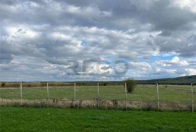 RECO Casa noua la 6 km de Oradea, in Rontau - 11