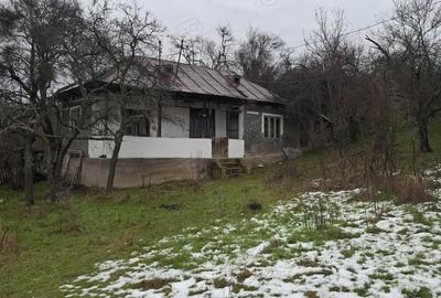 Casă cu Teren 3500 Mp în Rădești - 2