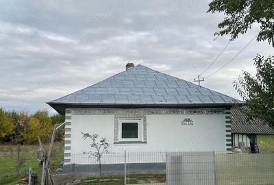 Casă cu 2 camere în Peceneaga - 4