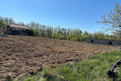 Spațiu comercial, în Dănicei - 3