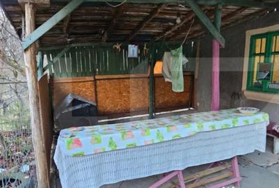Casă cu 2 camere cu Teren 1110 Mp în Bezdead - 9
