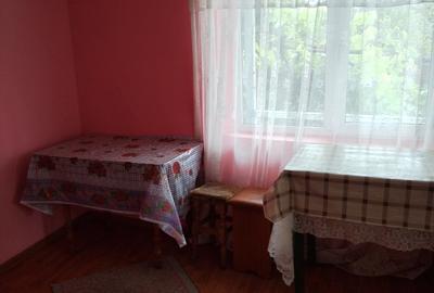 Casă cu 3 camere în Costești - 4