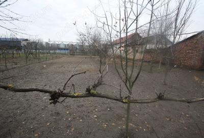 Casă cu 3 camere cu Teren 1128 Mp în Pustiniș - 5