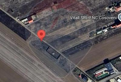 Teren 300 mp Cosoveni / Aleea Ulmului Teren 300 mp Cosoveni / Aleea Ulmului - 2