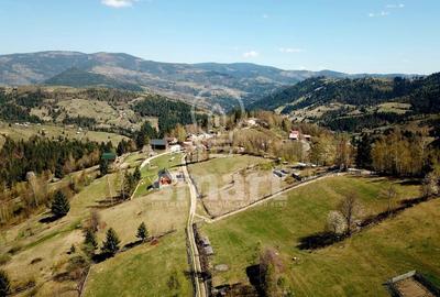 Teren Construcții intravilan de 1000 mp, în Mătișești (Horea) - 10
