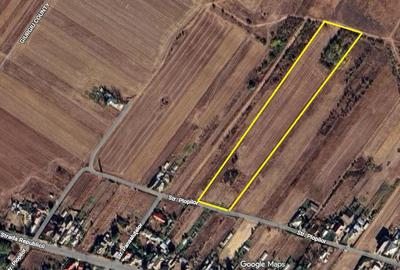 Teren de 10676 mp, în Sud - 1