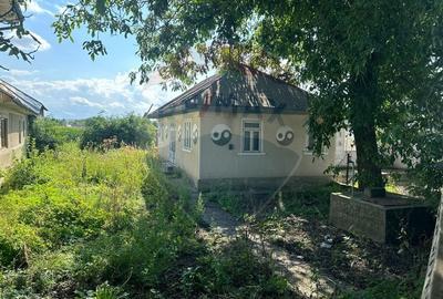 Teren intravilan 3.765 mp cu casa - Bodesti de Jos - 8