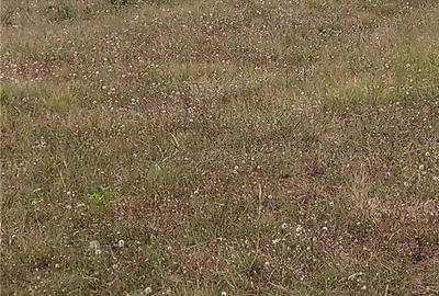 Teren de 2200 mp, în Moldova Veche - 2