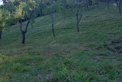 Spațiu comercial, în Salva - 1