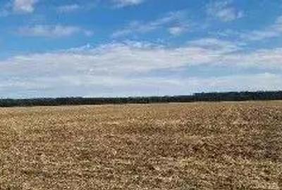 Teren extravilan Branesti, ID: R2649181