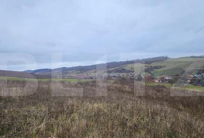 Teren intravilan 4774 mp de vanzare in Livezeni - 6