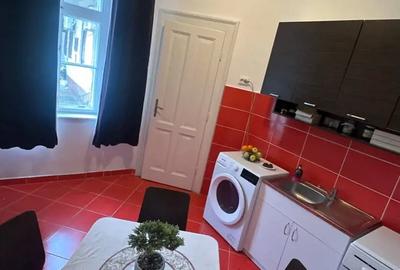 Apartament cu 2 camere semidecomandat în Bălcescu - 4